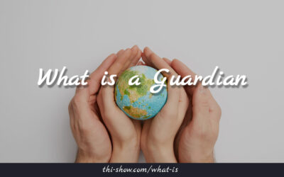 What is a Guardian