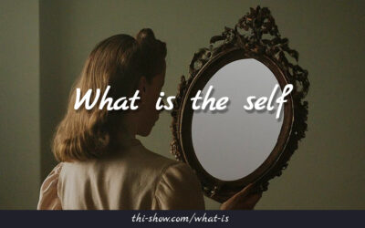 What is the self